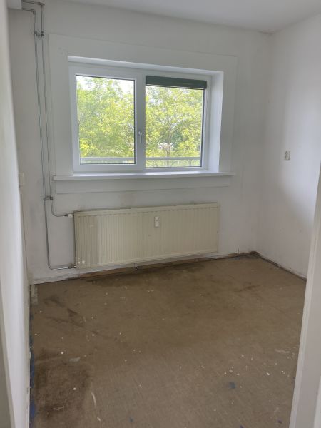 Graan voor Visch 13921A