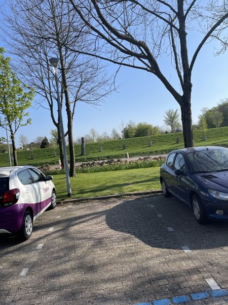 Graan voor Visch 13921A