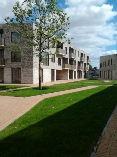 Courtine 31, 9714 BN Groningen, Nederland