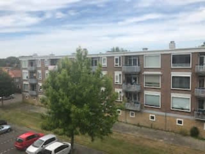 Goeman Borgesiusstraat 50