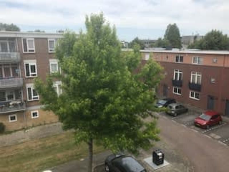 Goeman Borgesiusstraat 50