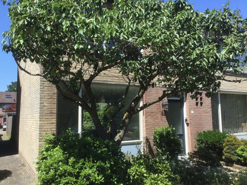 Lijsterbesstraat 22, 3434 AC Nieuwegein, Nederland