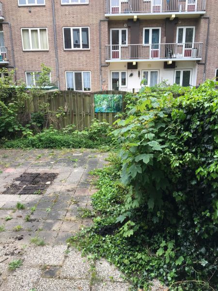 Robert Kochplantsoen 24II