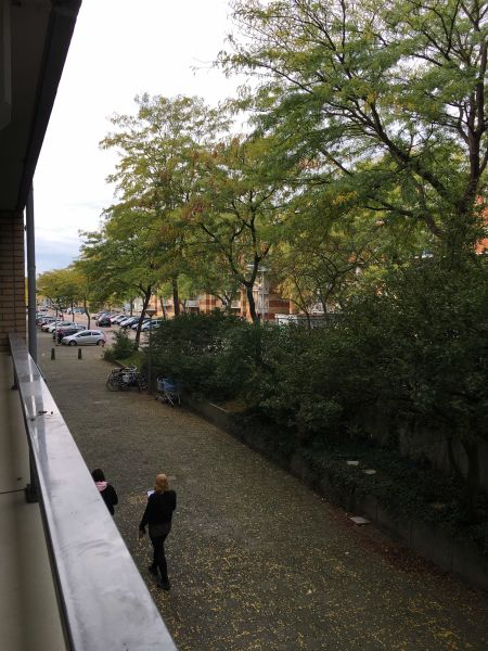 Kolfschotenstraat 79