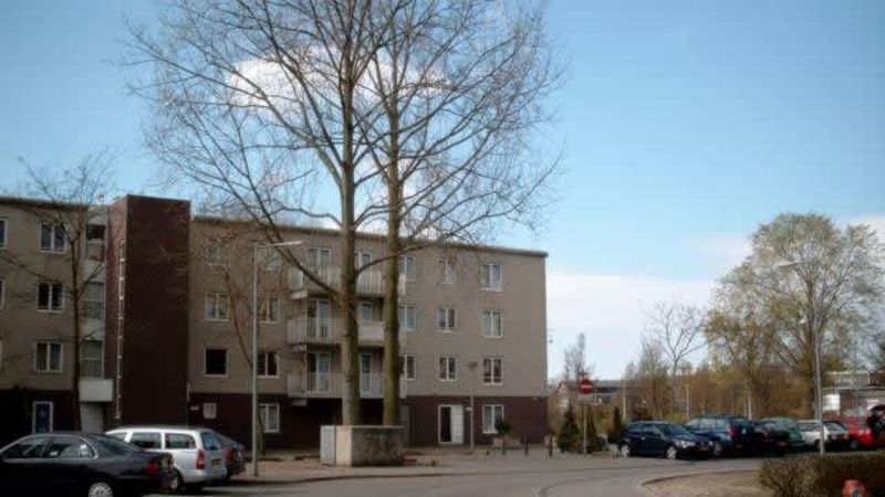 Laanweg 42, 1031 JB Amsterdam, Nederland