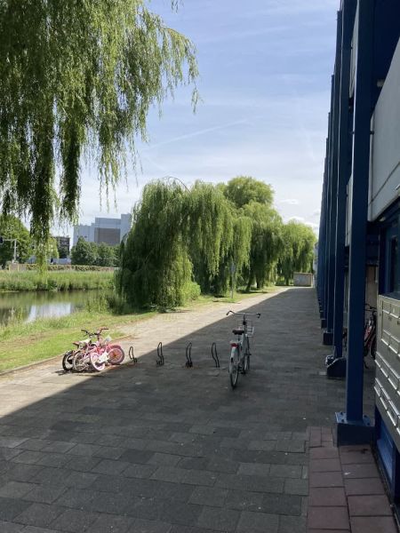 Herman Gorterstraat 306