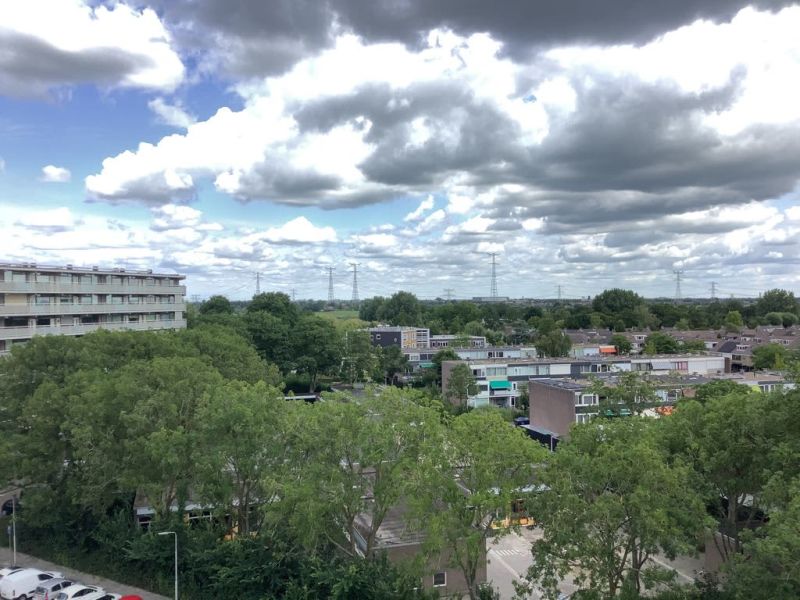 Pieter de Hoochplaats 260