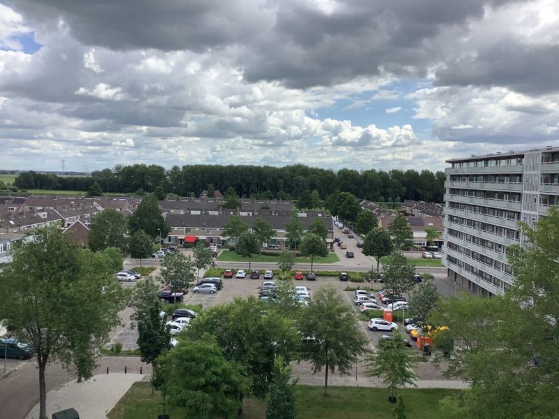 Pieter de Hoochplaats 260