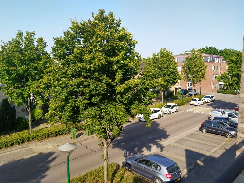 Jac. P. Thijsselaan 43