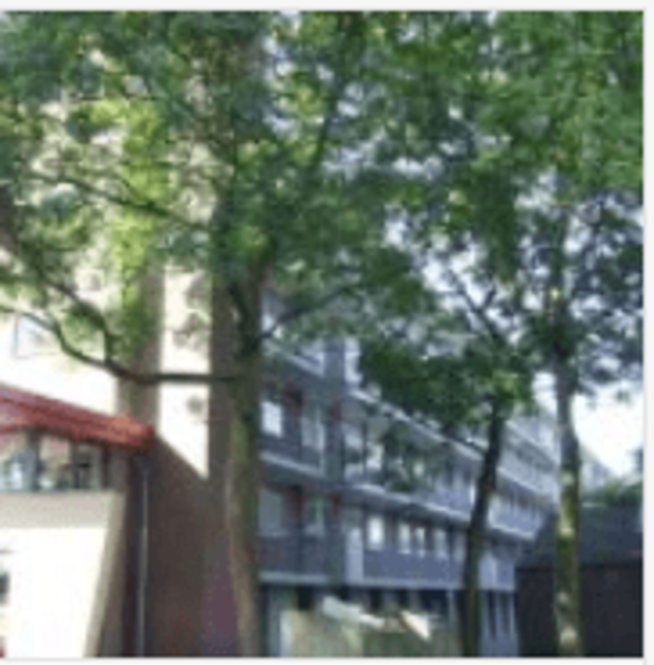 Troelstraweg 28, 6702 AL Wageningen, Nederland