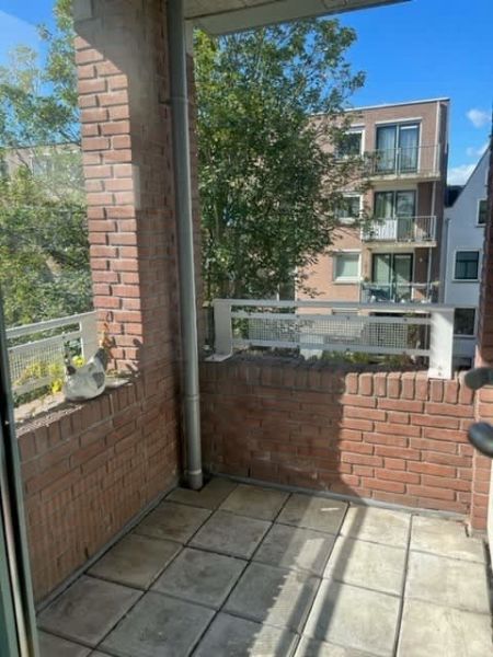 Nieuwe Houttuinen 35