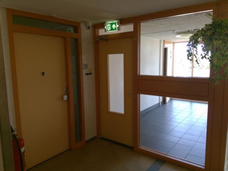 Cornelis Outshoornstraat 220