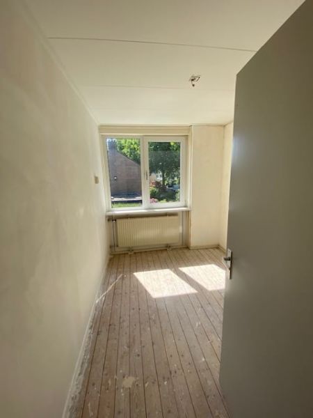 Wethouder Hollaan 55