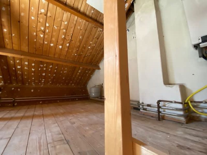 Wethouder Hollaan 55