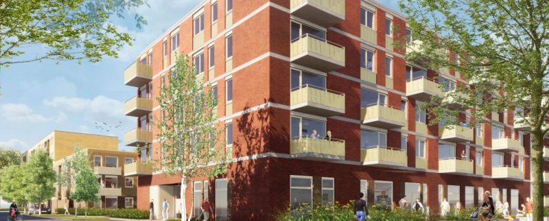 Berkenlaan, 9741 Groningen, Nederland