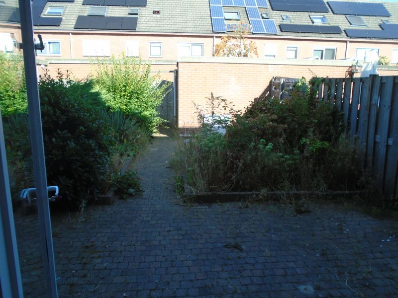 Arthur van Schendelhove 5