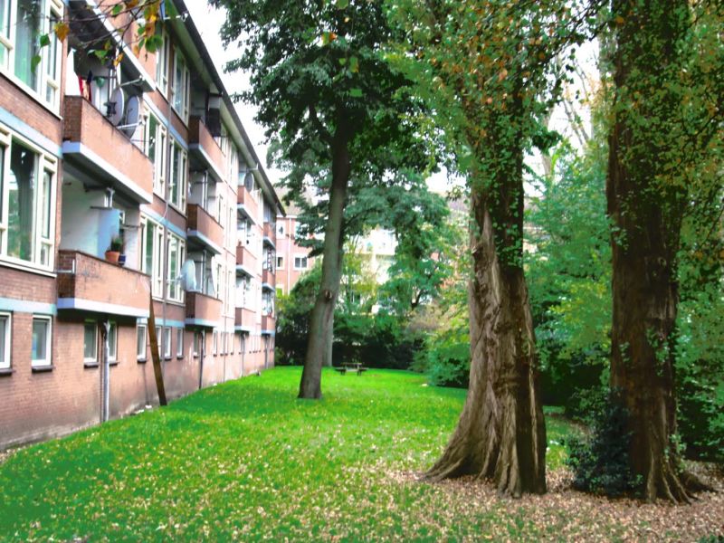 Lijns Tewisz Roggeplein 58