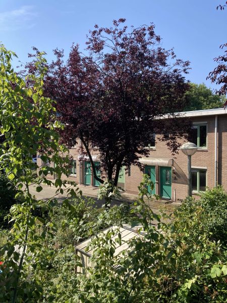 Hertspieghelweg 51, 1055 KK Amsterdam, Nederland