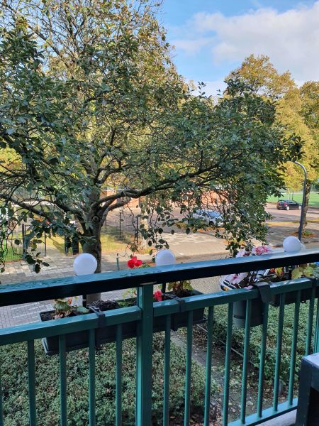 Jac. van Looystraat 30I