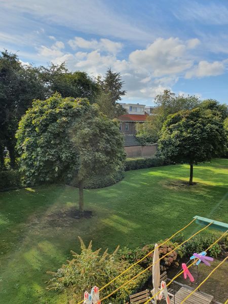 Jac. van Looystraat 30I