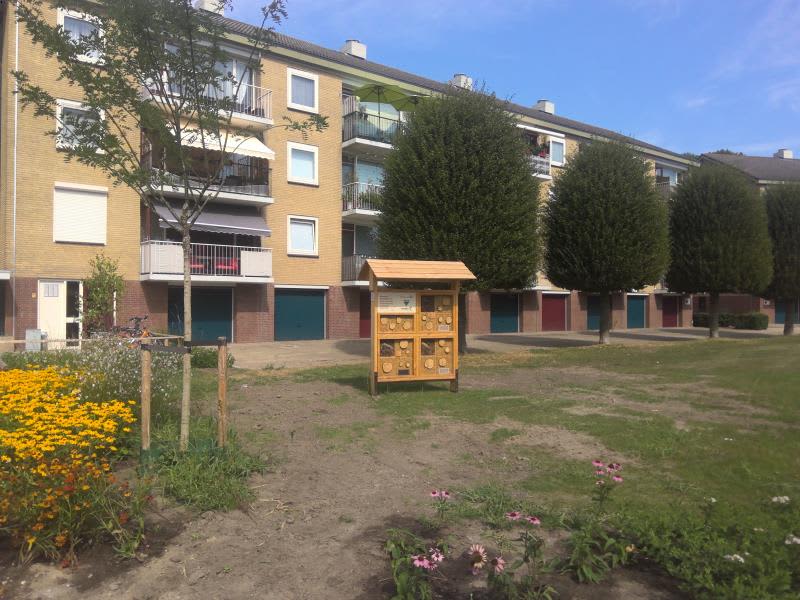 Doctor Dreeslaan 298