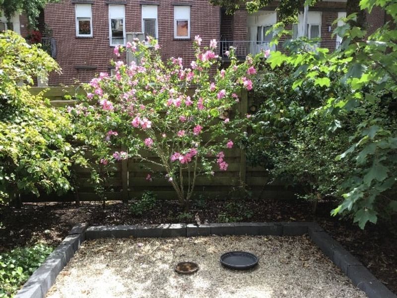 Jeltje de Bosch Kemperpad 194