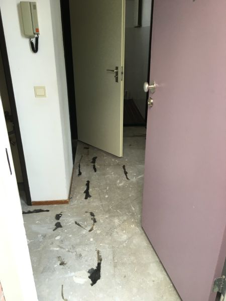 Wethouder Insingerstraat 59