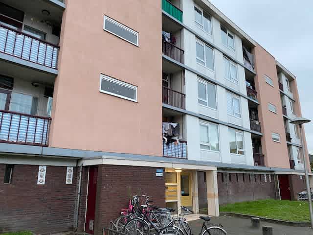 Adenauerlaan 244
