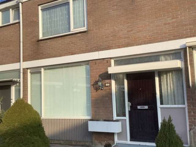 Buizerdstraat 65