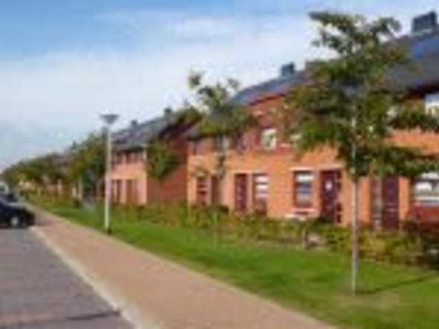 Fonteinkruid 77