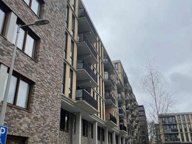 Zilverplevierstraat 41
