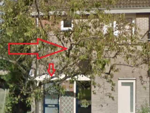 Aalscholverstraat 39