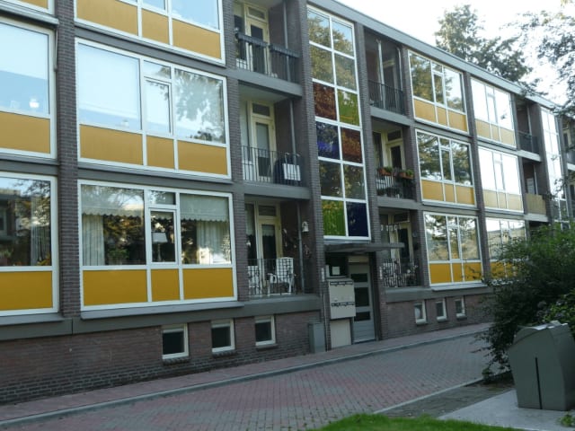 De Zoom 56