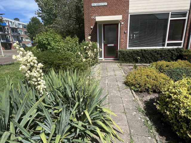 Dirk Bommerstraat 52