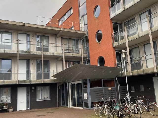 Adriaan van Ostadestraat 81