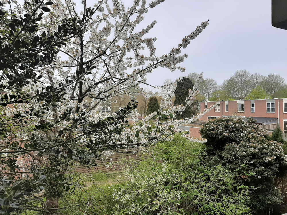 Langshof 204