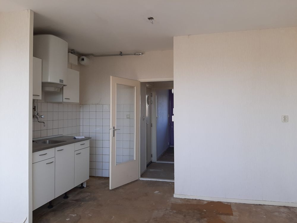 Graan voor Visch 13731