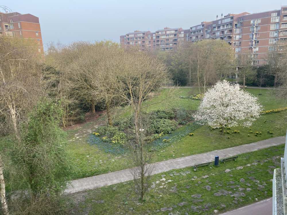 Lopikhof 102