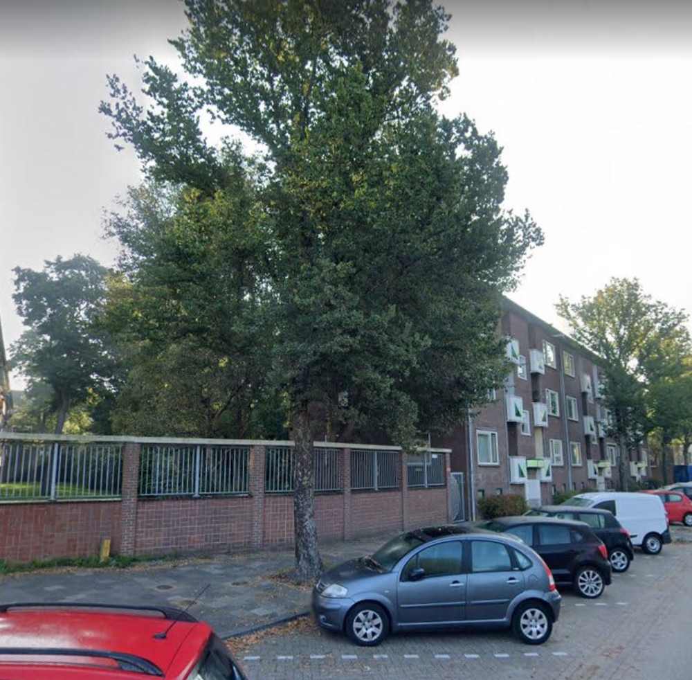 Lijns Tewisz Roggeplein 78