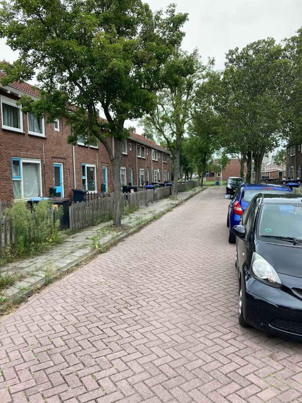 Irisstraat 3