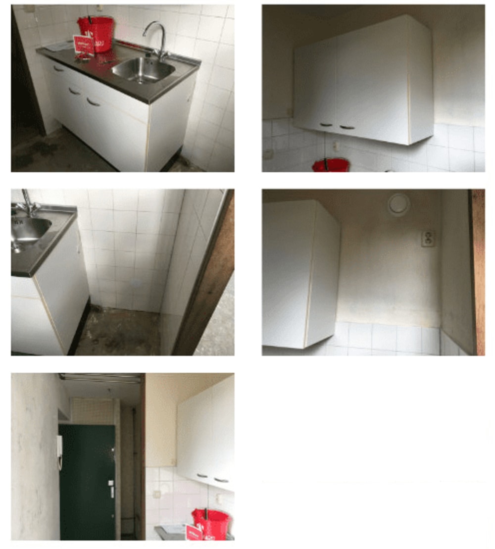 Schoener 238