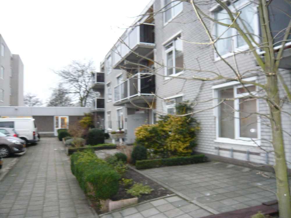 Elsbroekplantsoen 13, 1507 KL Zaandam, Nederland
