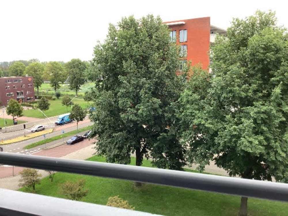 Ookmeerweg 132