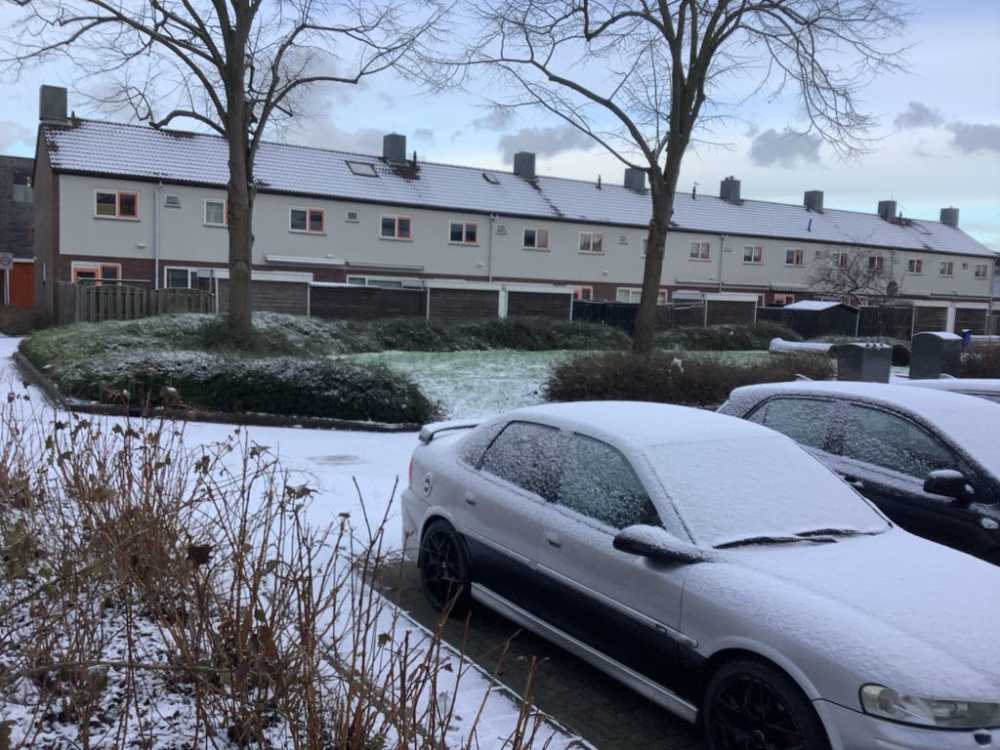 Kamperfoeliestraat 10