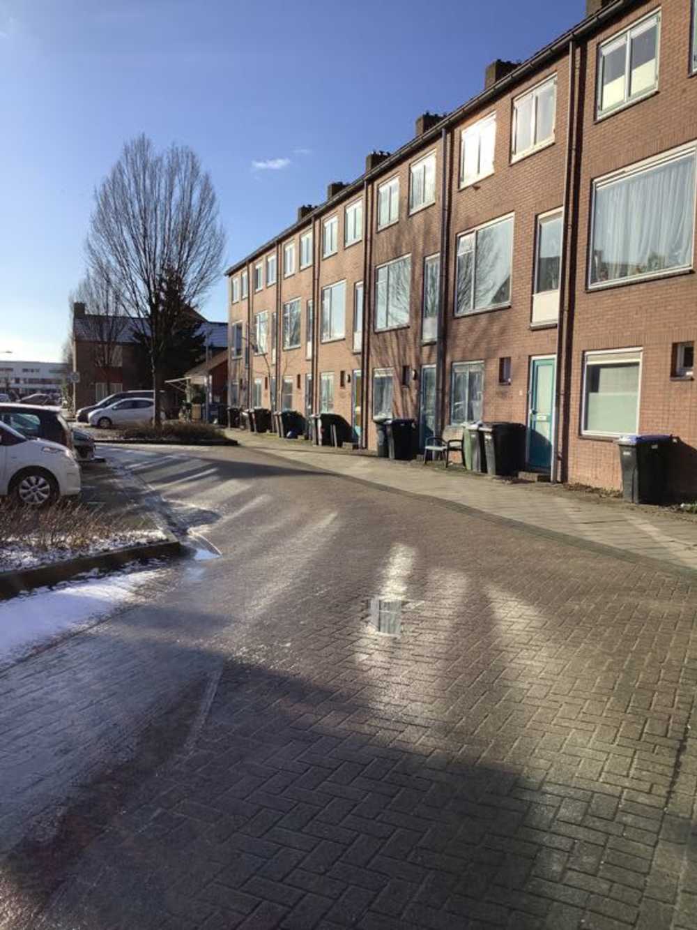 Meidoornstraat 49