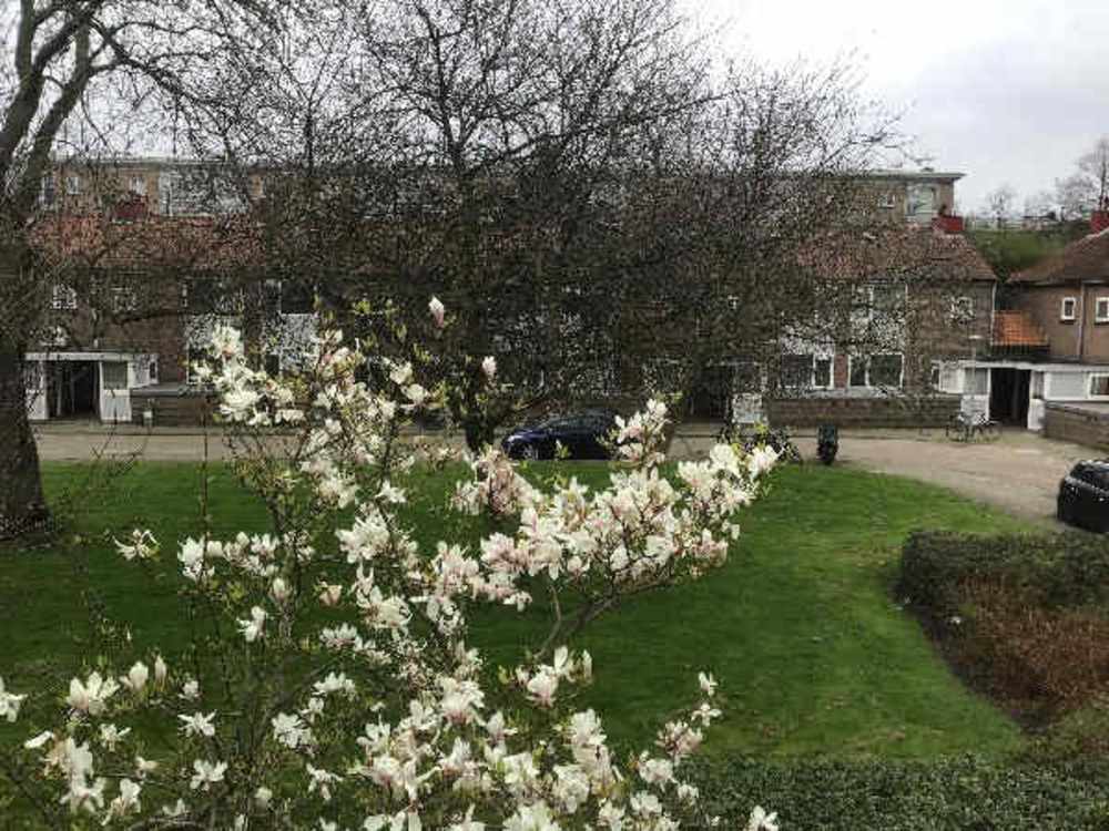 Frederik van Eedenstraat 4