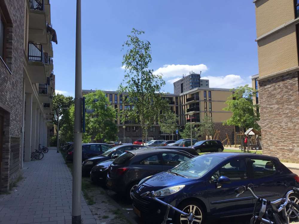 Zilverplevierstraat 113