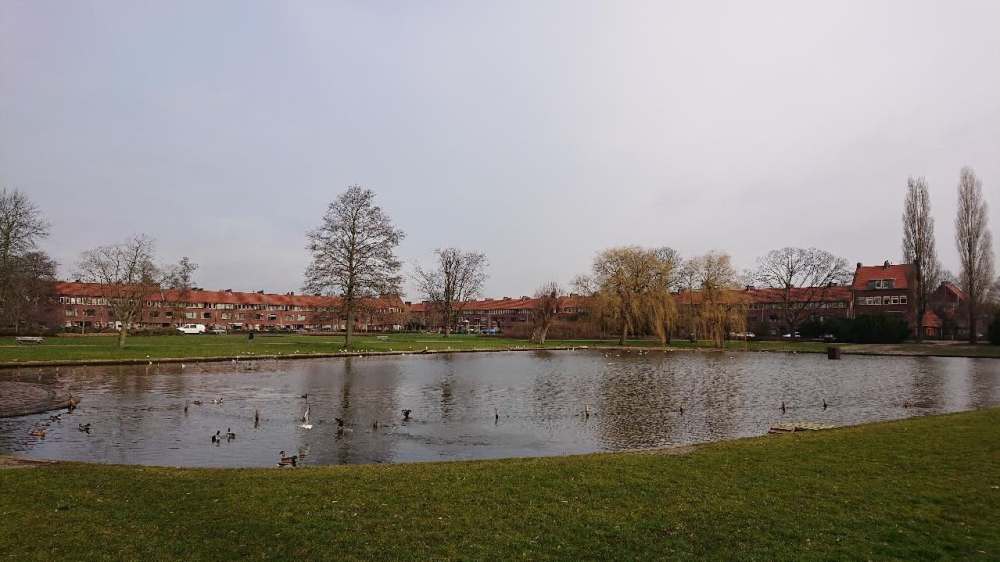 Piet Fransenlaan 238