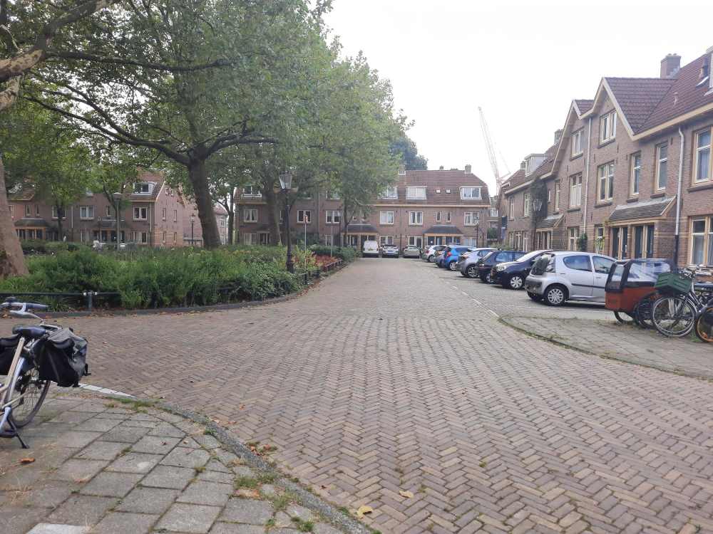 Lupineplein 34