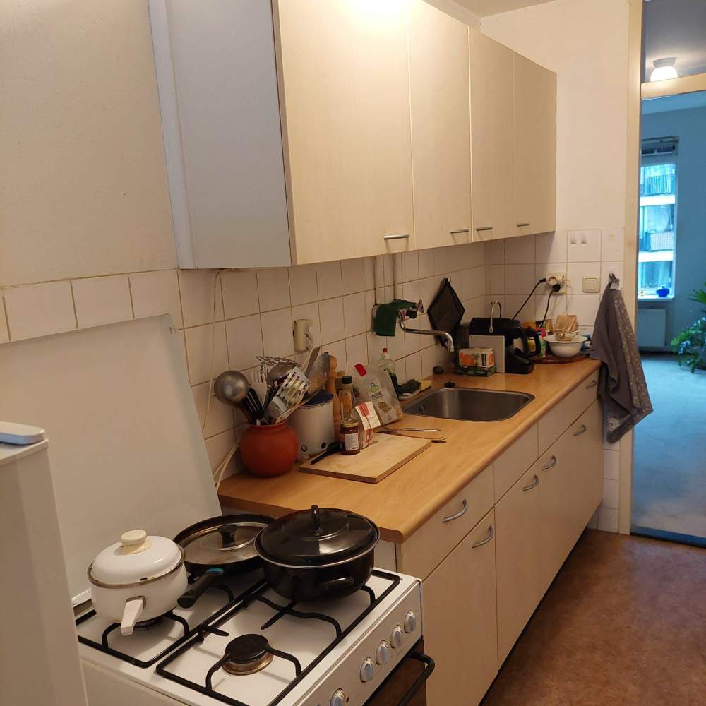 Haarlemmer Houttuinen 27C